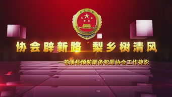 一站式创意传播解决方案 四川龙腾多媒体文化服务全览